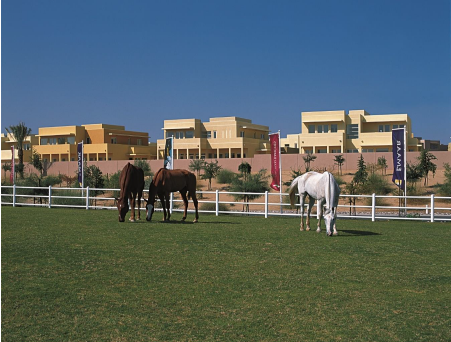 Arabian Ranches – Phase 3, 222 villas